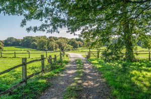 Photo 70- click for photo gallery